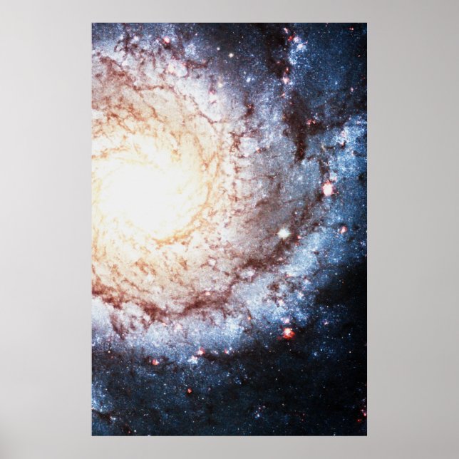 Poster Cosmos Coloridos (Frente)