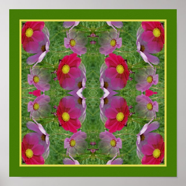 Poster Cosmos Daisy Flowers Mirror Abstrato Nature (Frente)