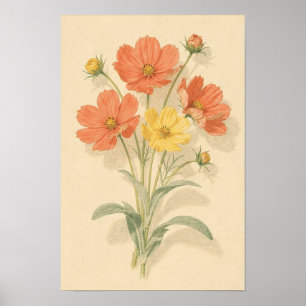 Poster Cosmos Florais Coral e Amarelo Manteiga