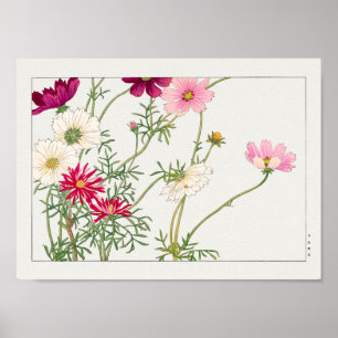 Poster Cosmos por Tanigami Konan