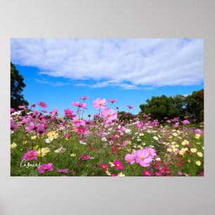 Poster Cosmos [Poster]