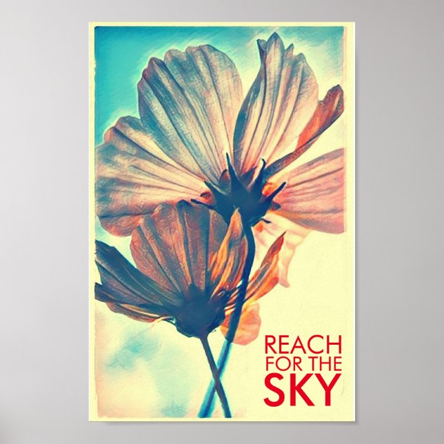 Poster Cosmos Reach Pink para a Cotação do Céu (Frente)