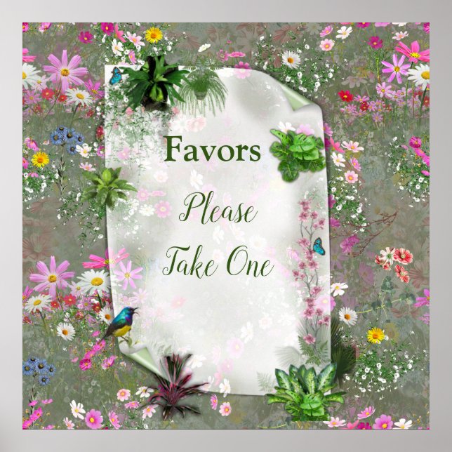 Poster Cosmos Wilderness (Frente)