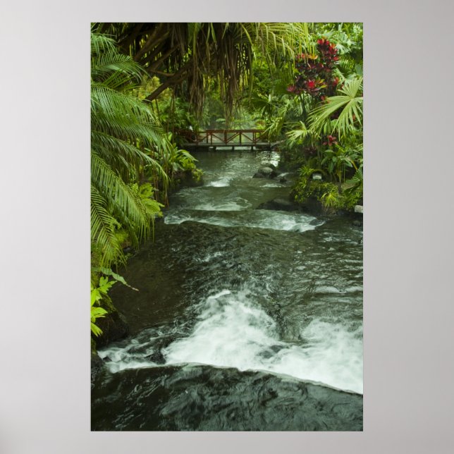 Póster Cosra Rica Dream (Frente)