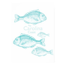 Costa da Carolina Vintage Turquesa Peixe de Água S