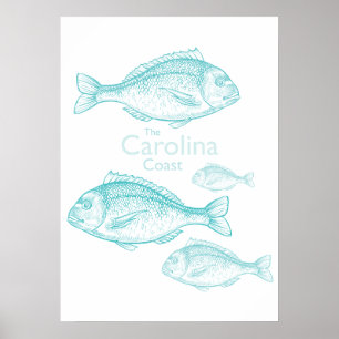 Poster Costa da Carolina Vintage Turquesa Peixe de Água S