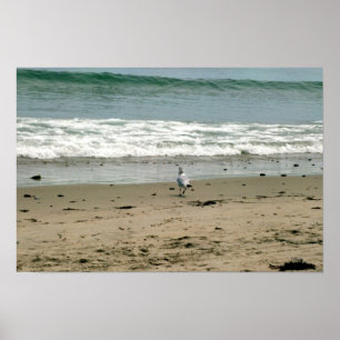 Poster Costa da praia