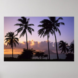 Póster Costa de São Cristóvão
