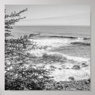 Poster Costa do Maine Acadia Preto e Branco Arquivo