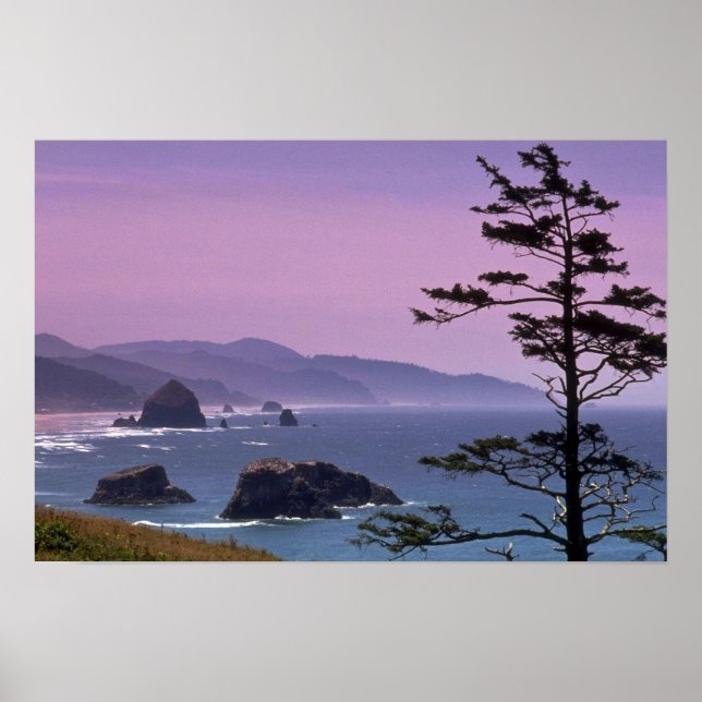 Poster Costa do Oregon, Parque Estadual Ecola, Oregon (Frente)