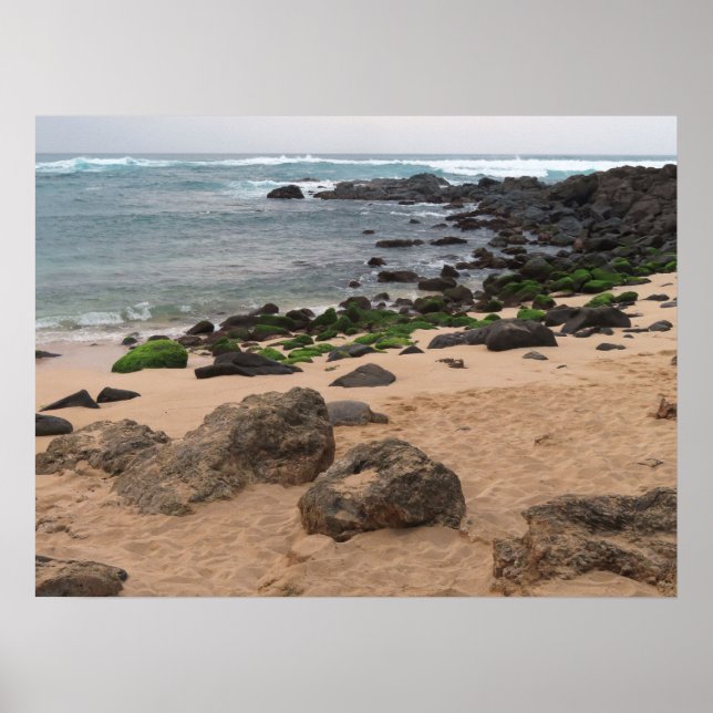 Poster Costa Norte de Oahu e Tartaruga Marinha  (Frente)
