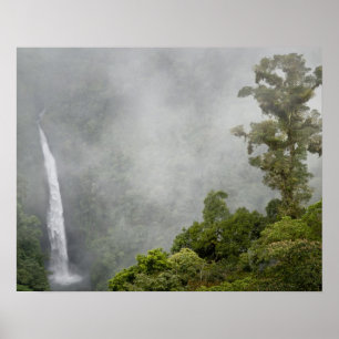 Poster Costa Rica, floresta nublada nas montanhas perto d