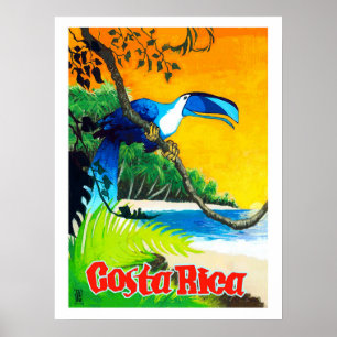Poster Costa Rica, papagaio exótico na praia, vintage