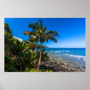 Póster Costa tropical