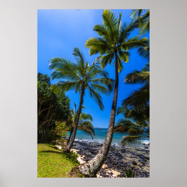 Poster Costa tropical 2 (Frente)
