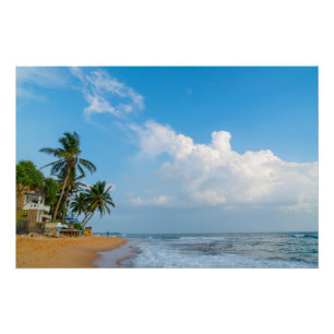 Póster Costa Tropical de Praia e Palmeiras Vista para o O
