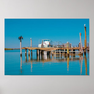 Poster Costeira Velddrif África do Sul Paisagem Aves de B