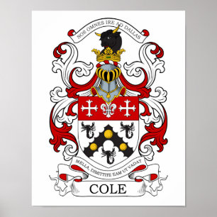 Poster Costume 2 do Cole