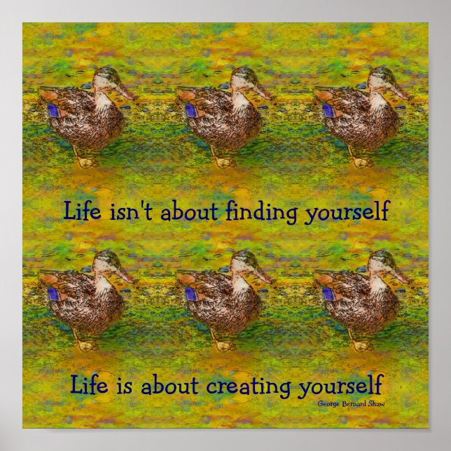 Póster Cota Inspirativa de Vida dos Patos Bonitos (Frente)