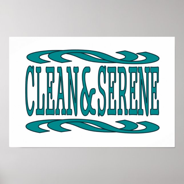 Póster Cotação de recuperação Inspiron Limpa e Serena (Frente)