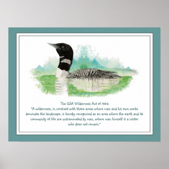 Poster Cotação do USA Wilderness Act, Watercolor Loon (Frente)