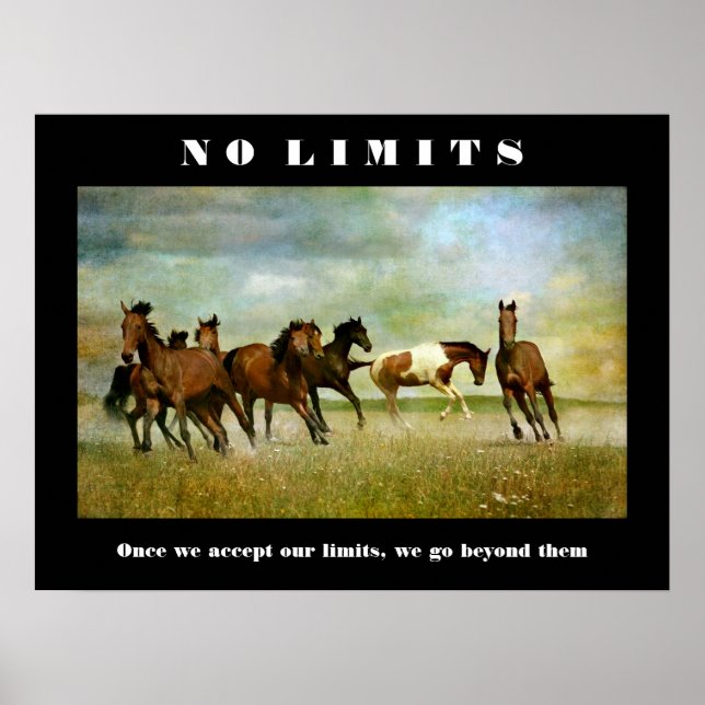 Poster Cotação Inspiracional Motivacional Sem Limites (Frente)