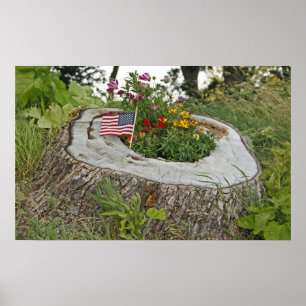 Póster Coto patriótico