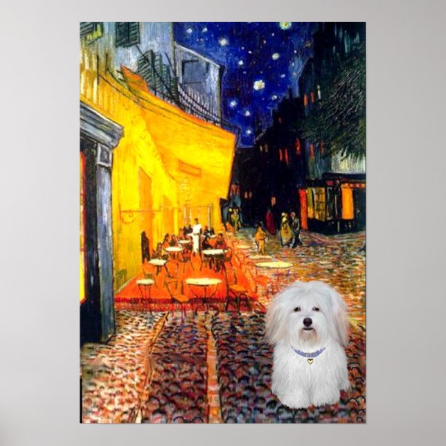 Póster Coton de Tulear 4b - Café (Frente)