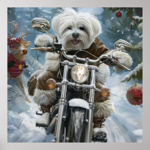 Poster Coton De Tulear Cachorro Dirigindo Motocicleta Nat