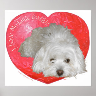 Poster Coton de Tulear Dia dos Namorados