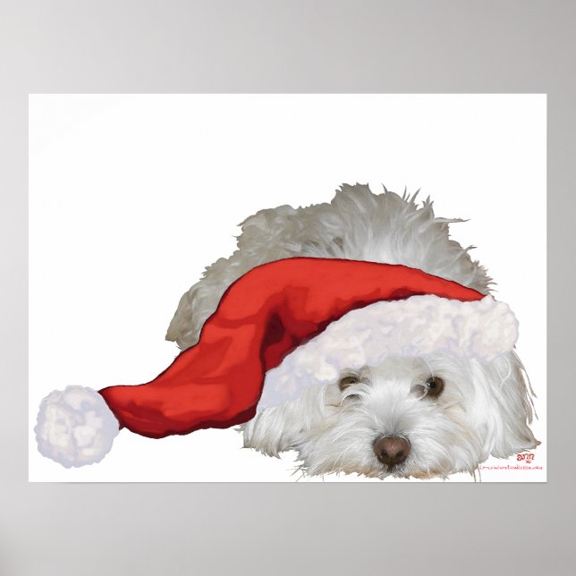 Poster Coton de Tulear - Esperando (Frente)