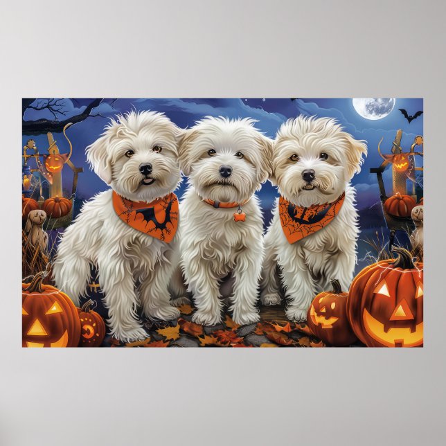 Poster Coton De Tulear Halloween Assustador (Frente)