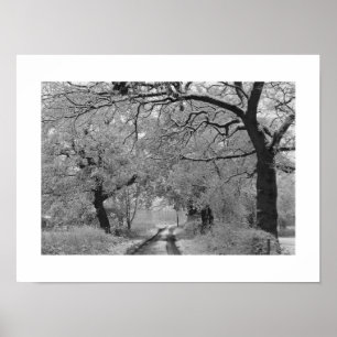 Poster Country Road in Winter: Cheshire, Inglaterra