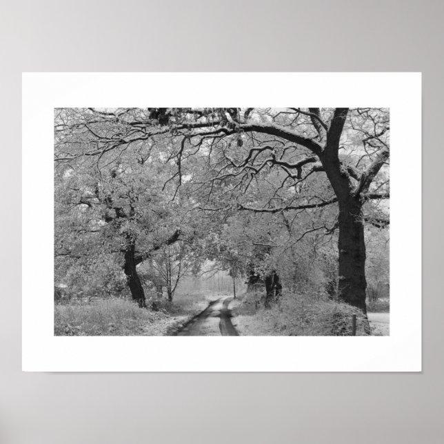 Poster Country Road in Winter: Cheshire, Inglaterra (Frente)