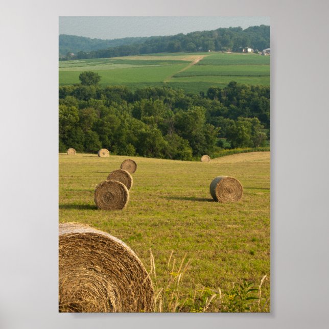 Póster Countryside Hay Bales (Frente)