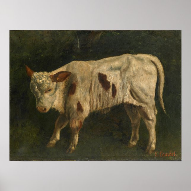 Poster Courbet - O Bezerro (Frente)