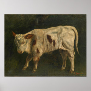 Poster Courbet - O Vitelo