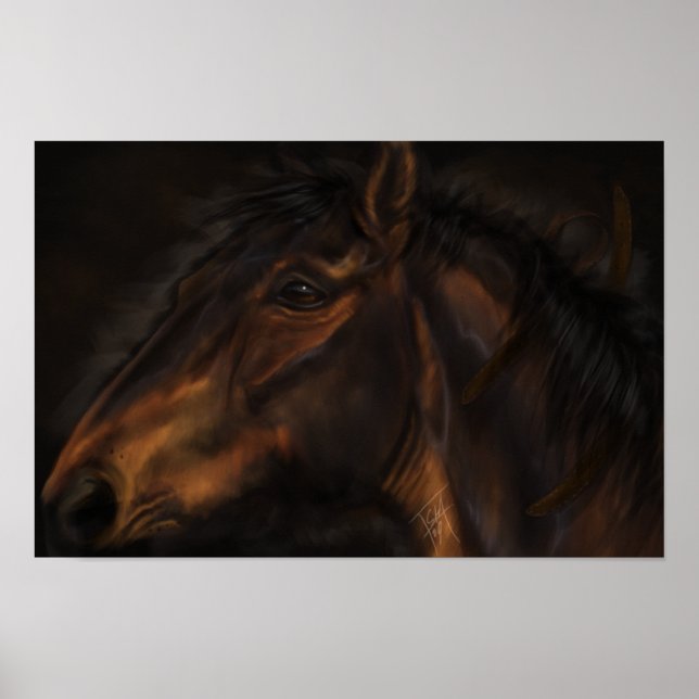 Poster Couro (Frente)