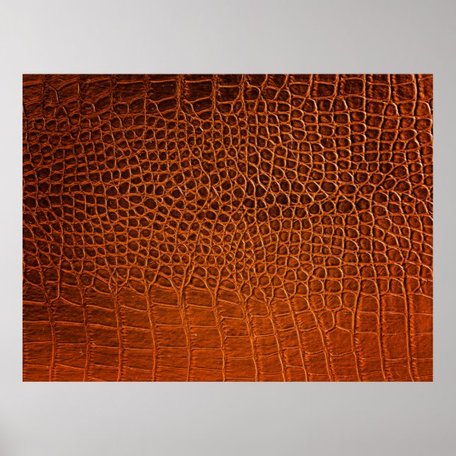 Poster Couro-crocodilo castanho (Frente)