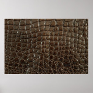 Poster Couro de jacaré castanho-genuíno, próximo a aparec