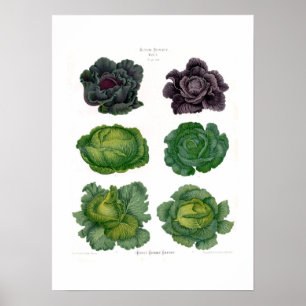 Póster Couves
