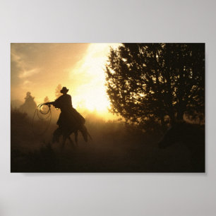 Póster Cowboy com Laço no Sunset