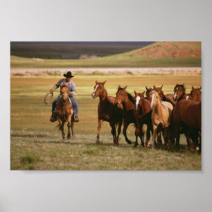 Póster Cowboy Herding no Ranch