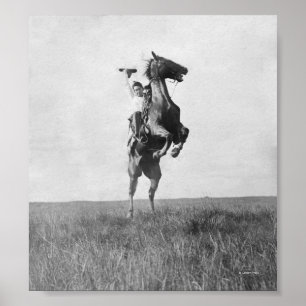 Póster Cowboy Rides Bronco