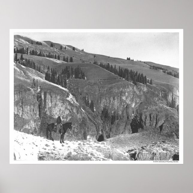 Poster Cowboy separado de sua manada. (Frente)