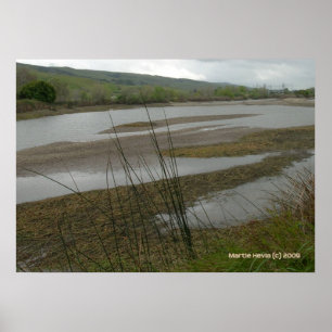 Póster Coyote Creek Rainy Day