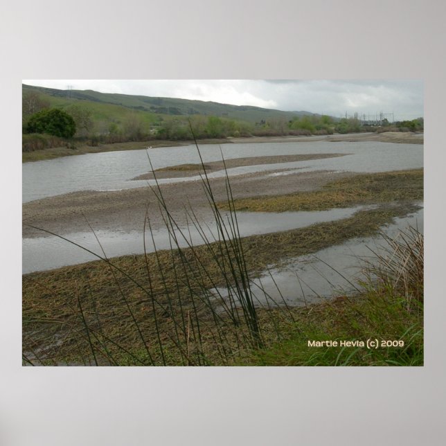 Póster Coyote Creek Rainy Day (Frente)