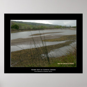 Póster "Coyote Creek Rainy Day"