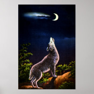 Póster Coyote Howling na Lua
