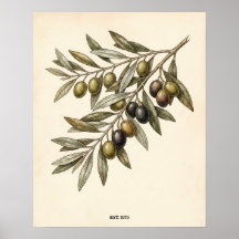Cozinha Personalizada com Galho de Oliveira Rústic